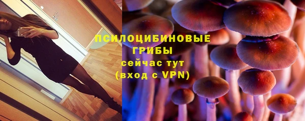 мяу мяу мука Надым