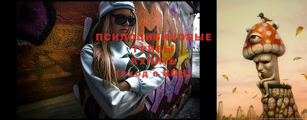 мяу мяу мука Надым