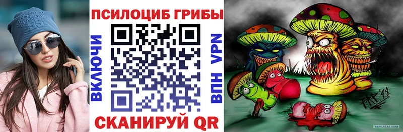 Псилоцибиновые грибы Psilocybe  наркота  Владикавказ 