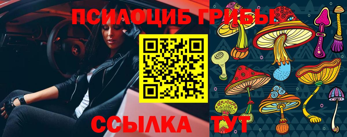 Псилоцибиновые грибы Magic Shrooms  Владикавказ 