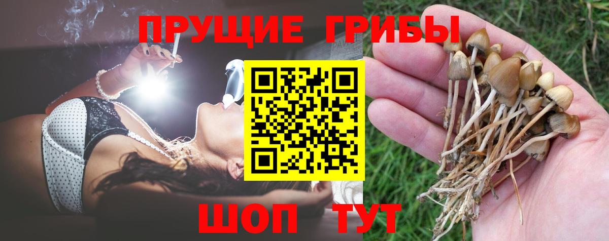 Владикавказ  Галлюциногенные грибы MAGIC MUSHROOMS  Вход с VPN 
