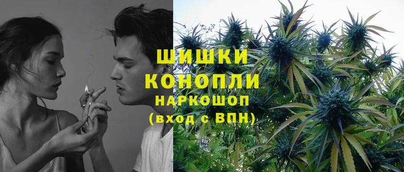 Каннабис LSD WEED  blacksprut сайт  Владикавказ 